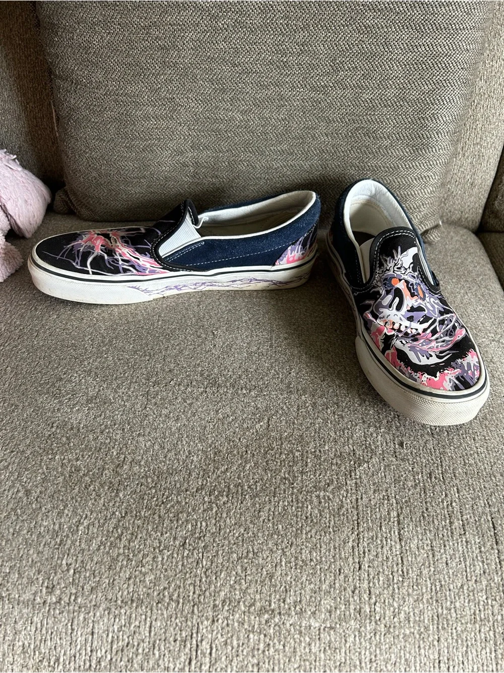 Vans slip zap